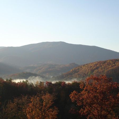 ガトリンバーグ Bear Necessities, Luxury 5Bd Mtn Views, Hot Tub, Many Bear Sightingsヴィラ エクステリア 写真