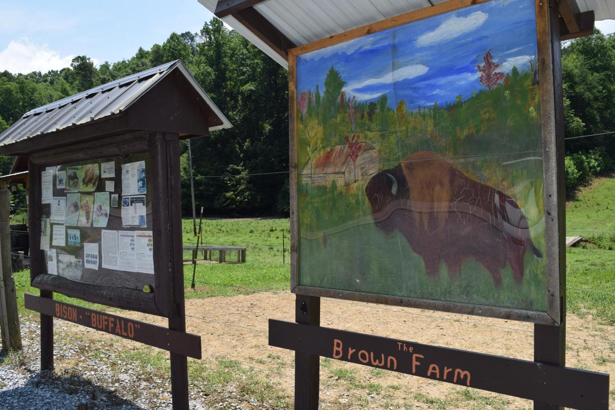 ガトリンバーグ Bear Necessities, Luxury 5Bd Mtn Views, Hot Tub, Many Bear Sightingsヴィラ エクステリア 写真