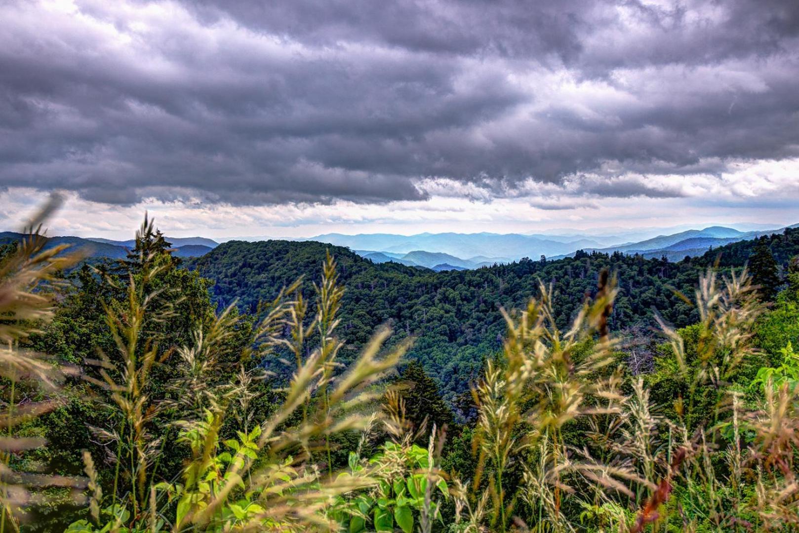 ガトリンバーグ Bear Necessities, Luxury 5Bd Mtn Views, Hot Tub, Many Bear Sightingsヴィラ エクステリア 写真