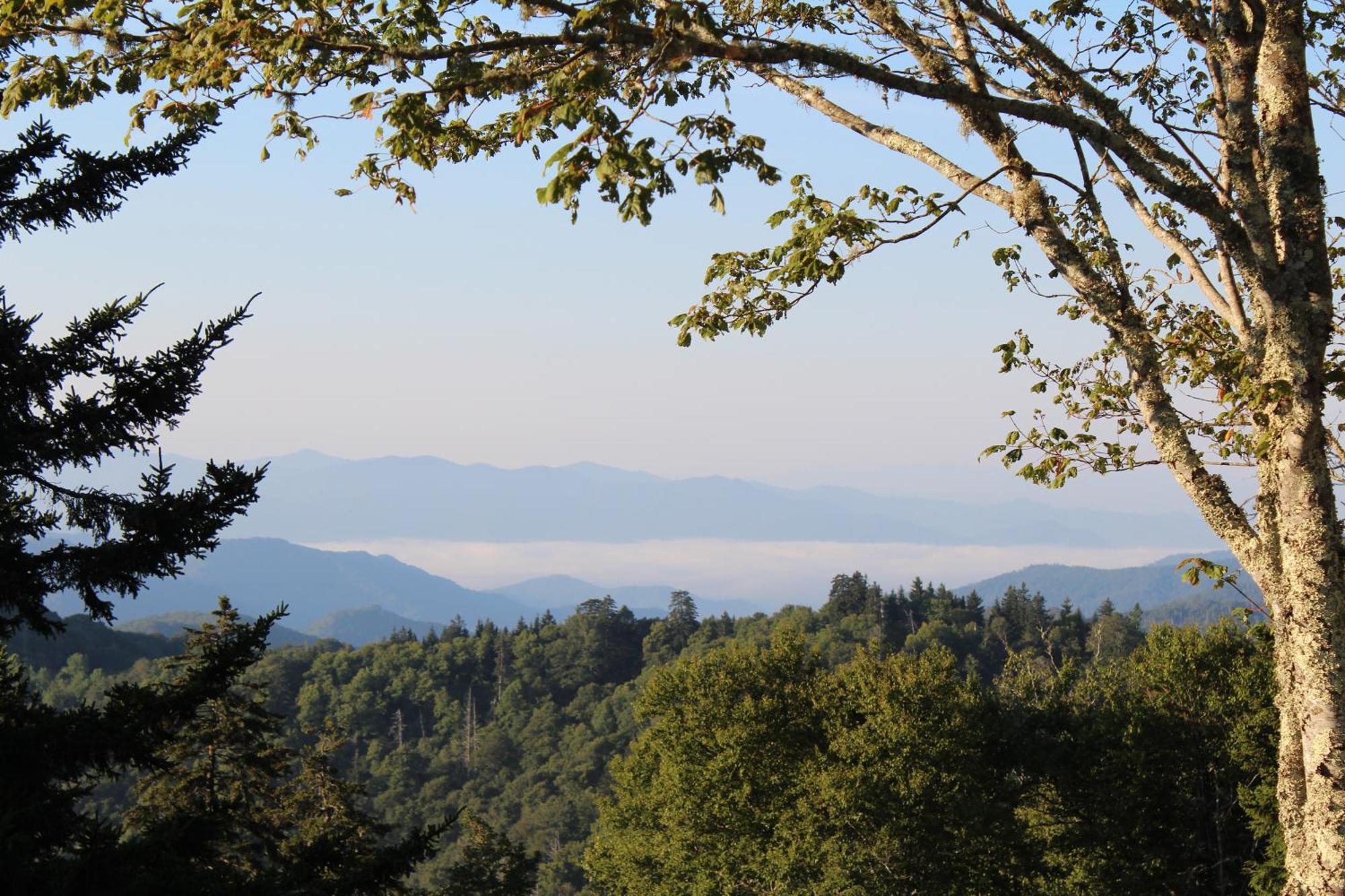 ガトリンバーグ Bear Necessities, Luxury 5Bd Mtn Views, Hot Tub, Many Bear Sightingsヴィラ エクステリア 写真