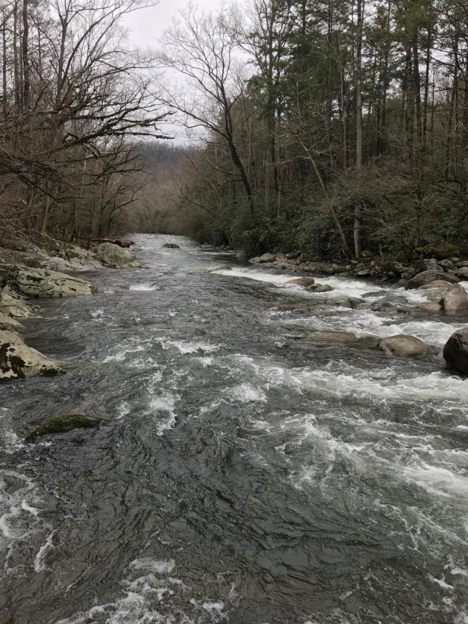 ガトリンバーグ Bear Necessities, Luxury 5Bd Mtn Views, Hot Tub, Many Bear Sightingsヴィラ エクステリア 写真