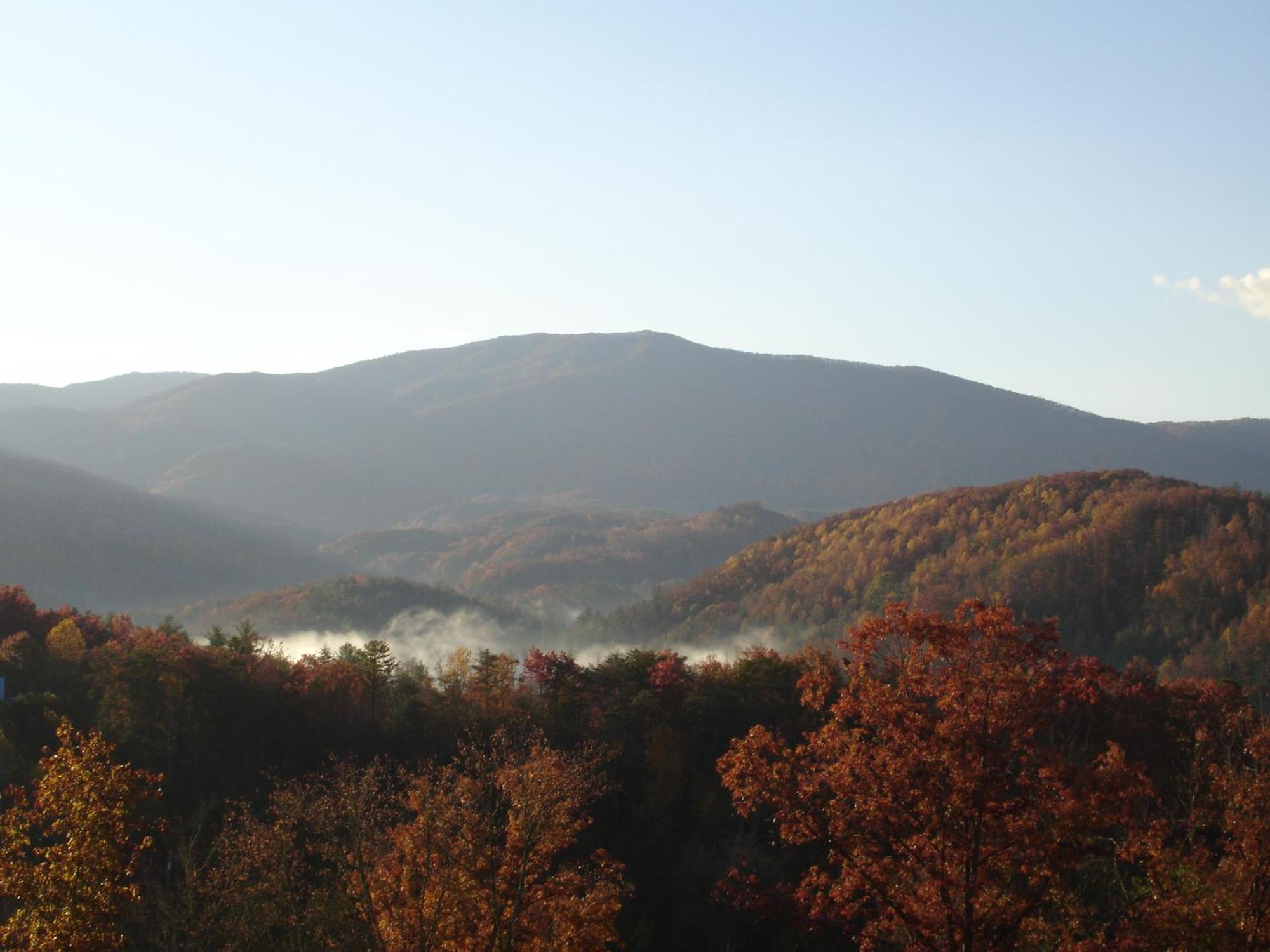 ガトリンバーグ Bear Necessities, Luxury 5Bd Mtn Views, Hot Tub, Many Bear Sightingsヴィラ エクステリア 写真