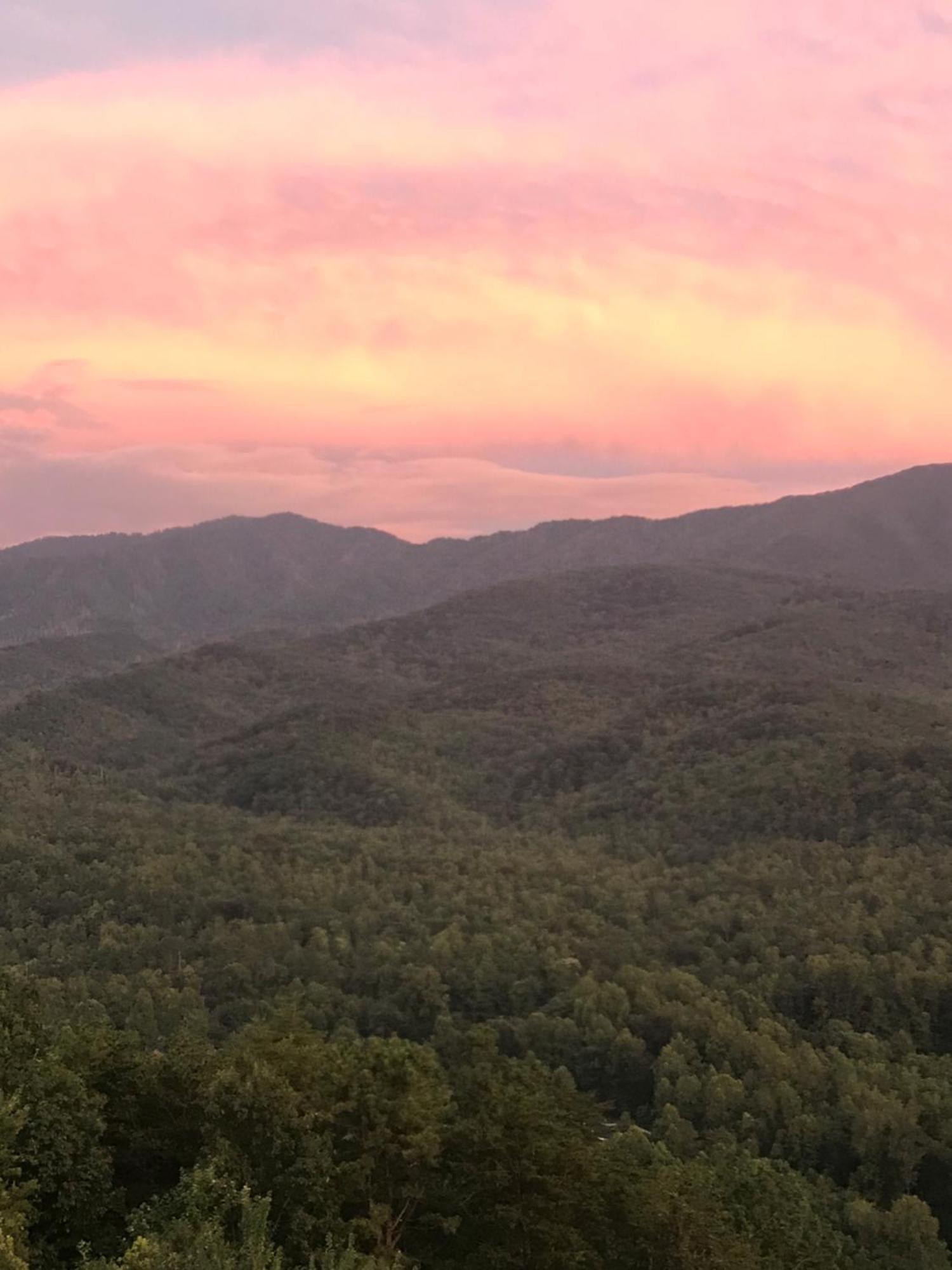 ガトリンバーグ Bear Necessities, Luxury 5Bd Mtn Views, Hot Tub, Many Bear Sightingsヴィラ エクステリア 写真