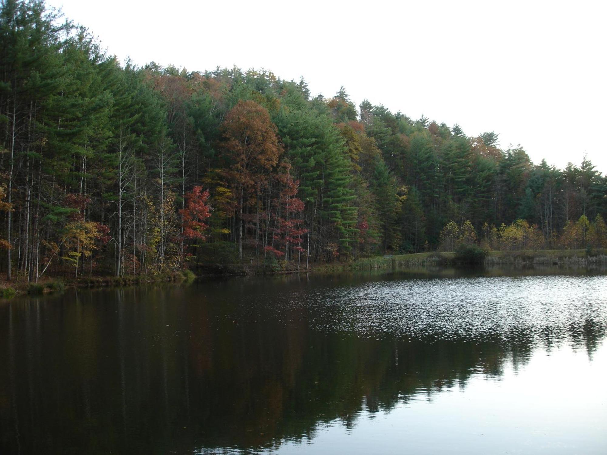 ガトリンバーグ Bear Necessities, Luxury 5Bd Mtn Views, Hot Tub, Many Bear Sightingsヴィラ エクステリア 写真