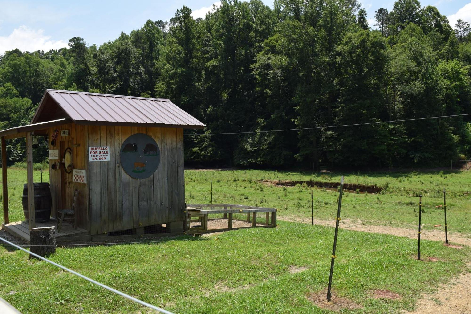 ガトリンバーグ Bear Necessities, Luxury 5Bd Mtn Views, Hot Tub, Many Bear Sightingsヴィラ エクステリア 写真