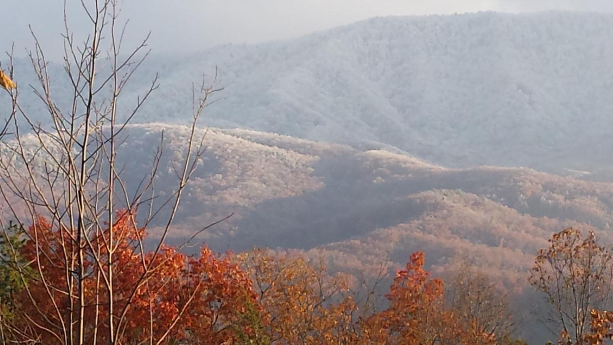 ガトリンバーグ Bear Necessities, Luxury 5Bd Mtn Views, Hot Tub, Many Bear Sightingsヴィラ エクステリア 写真